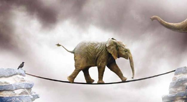 hooponopono è responsabilità elefante sulla corda