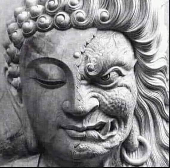 I due lupi l'armonia degli opposti